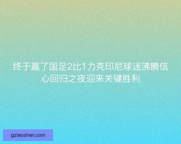 终于赢了国足2比1力克印尼球迷沸腾信心回归之夜迎来关键胜利 终于赢了国足2比1力克印尼球迷沸腾信心回归之夜迎来关键胜利