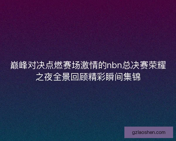 巅峰对决点燃赛场激情的nbn总决赛荣耀之夜全景回顾精彩瞬间集锦