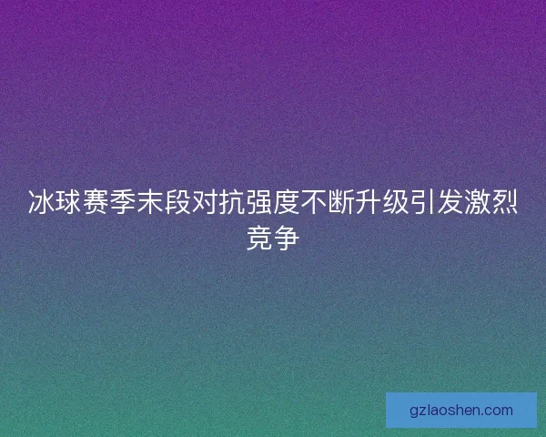 冰球赛季末段对抗强度不断升级引发激烈竞争