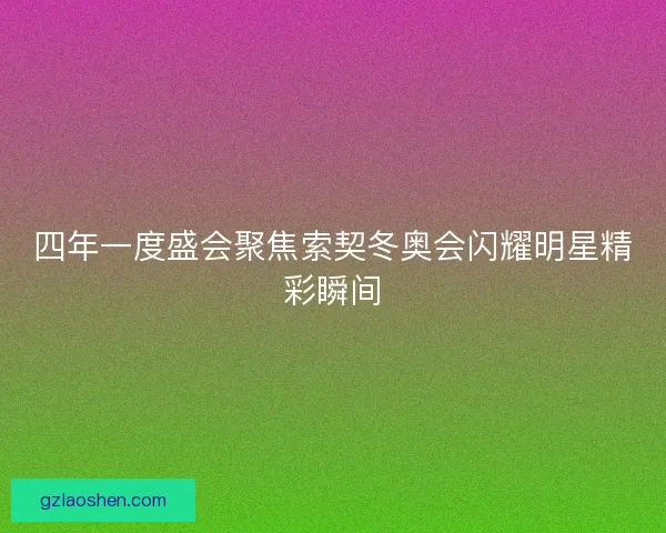 四年一度盛会聚焦索契冬奥会闪耀明星精彩瞬间