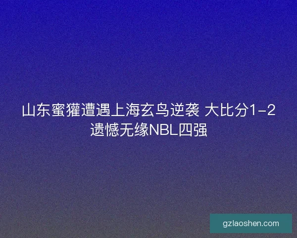 山东蜜獾遭遇上海玄鸟逆袭 大比分1-2遗憾无缘NBL四强 山东蜜獾遭遇上海玄鸟逆袭 大比分1-2遗憾无缘NBL四强
